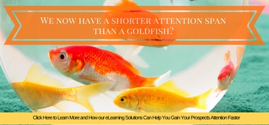 Goldfish Slider.png