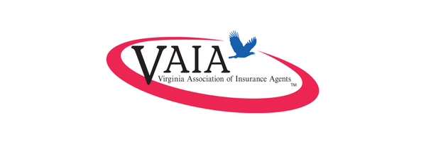 VAIA page header.png